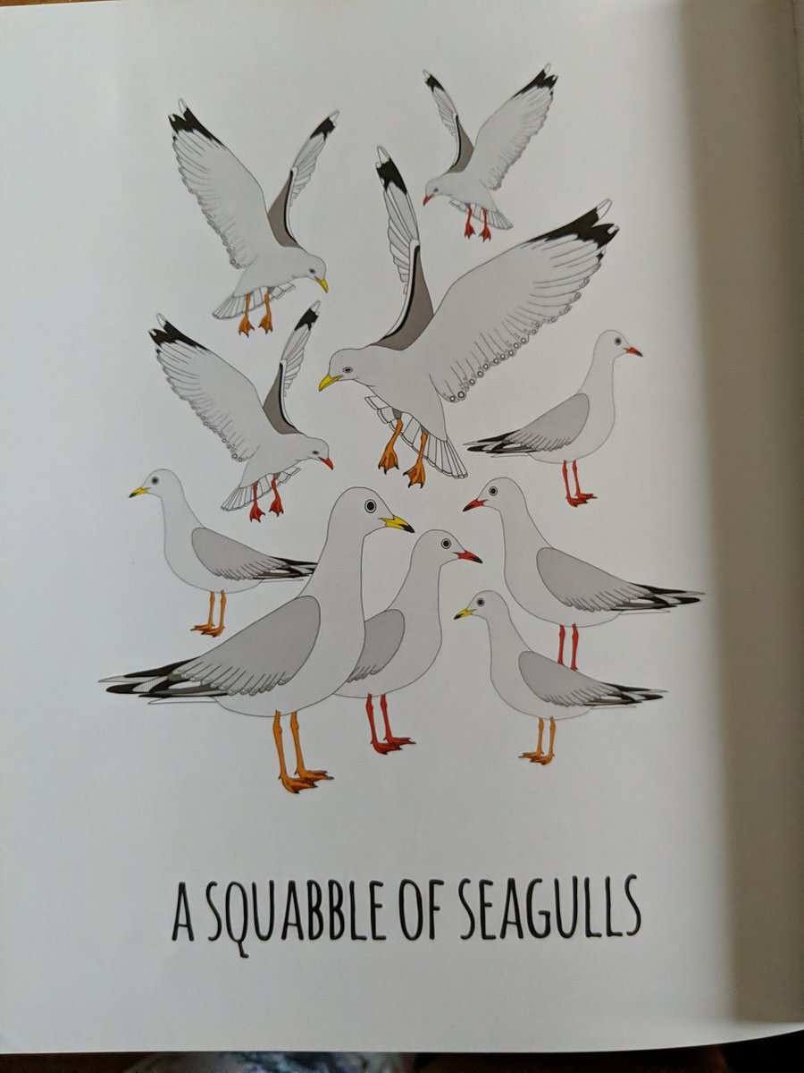 Hannah2425's tweet photo. @TamaraOudyn One of my fave pages. https://t.co/v8QOhkXZAs
