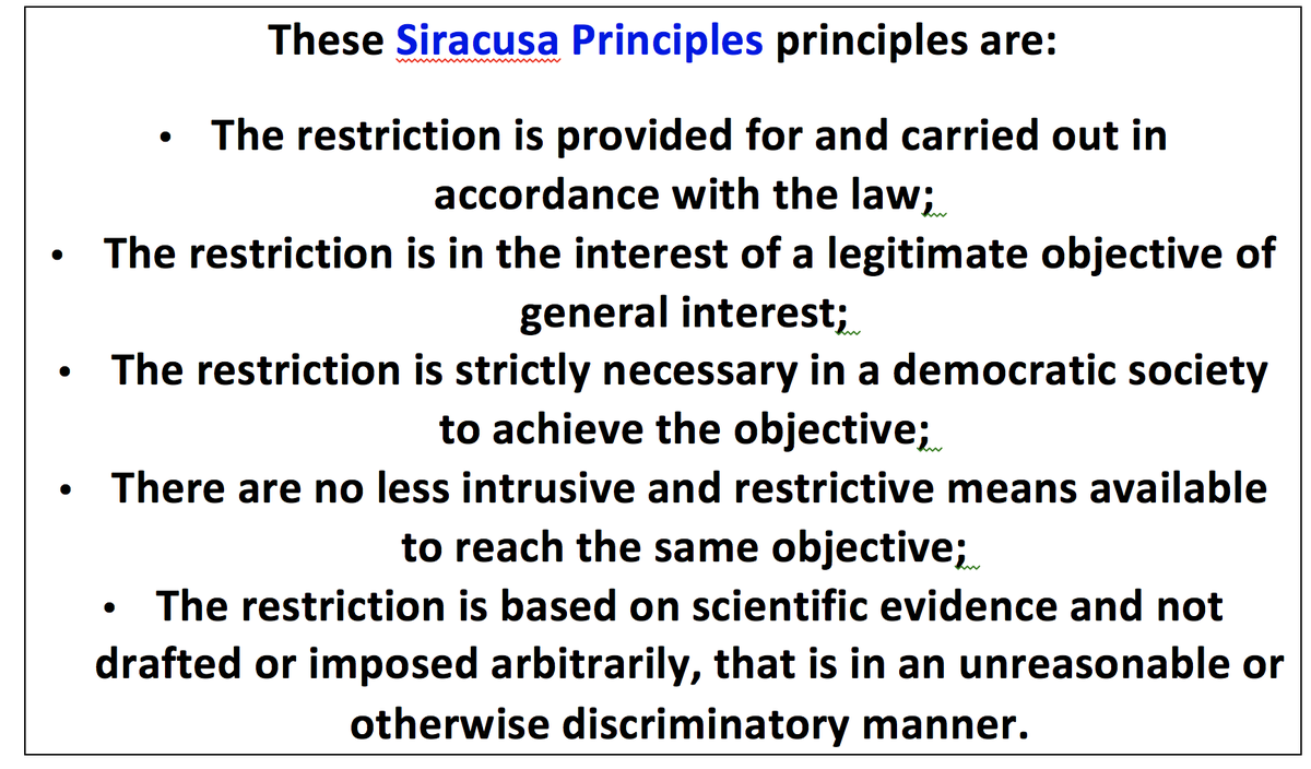 AfricanJurists's tweet photo. Arnold Tsunga @tsunga_arnold advised the #ACHPR66 session that the limitation of rights under #Covid_19 should satisfy the five criteria of the #SiracusaPrinciples, as well as be of a limited duration and subject to review and appeal. @SolomonADersso @ChidiOdinkalu @icjarp https://t.co/3fdwLMHXil
