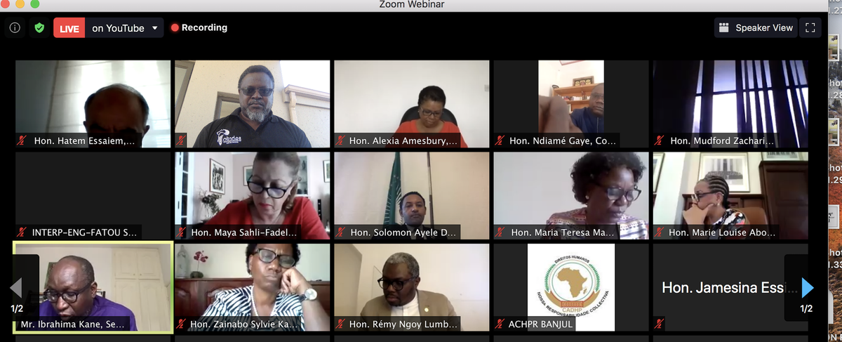 AfricanJurists's tweet photo. Arnold Tsunga @tsunga_arnold advised the #ACHPR66 session that the limitation of rights under #Covid_19 should satisfy the five criteria of the #SiracusaPrinciples, as well as be of a limited duration and subject to review and appeal. @SolomonADersso @ChidiOdinkalu @icjarp https://t.co/3fdwLMHXil