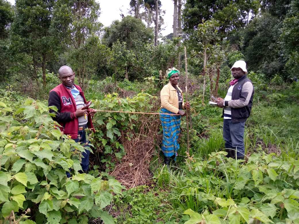 ecosia's tweet photo. 📸🇰🇪 Pictures from our tree-planting partner at Mount Kenya! Your searches have planted close to 2 million #trees here and counting 🌳😍. These trees protect rivers and restore the #soil on farmers' lands. Keep it up, Ecosians, #PlantChange,  💪🏾✨ https://t.co/MBJGaH4k96