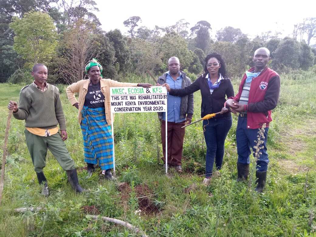 ecosia's tweet photo. 📸🇰🇪 Pictures from our tree-planting partner at Mount Kenya! Your searches have planted close to 2 million #trees here and counting 🌳😍. These trees protect rivers and restore the #soil on farmers' lands. Keep it up, Ecosians, #PlantChange,  💪🏾✨ https://t.co/MBJGaH4k96