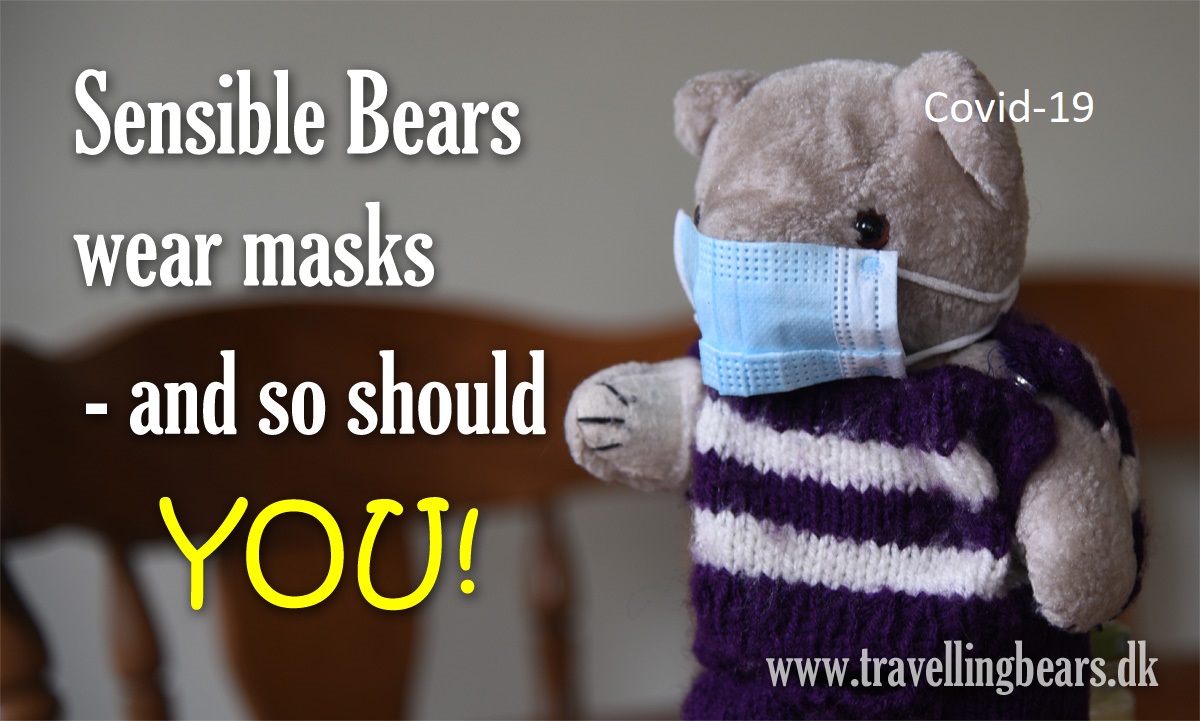#WearMasks #Covid19 #teddybear