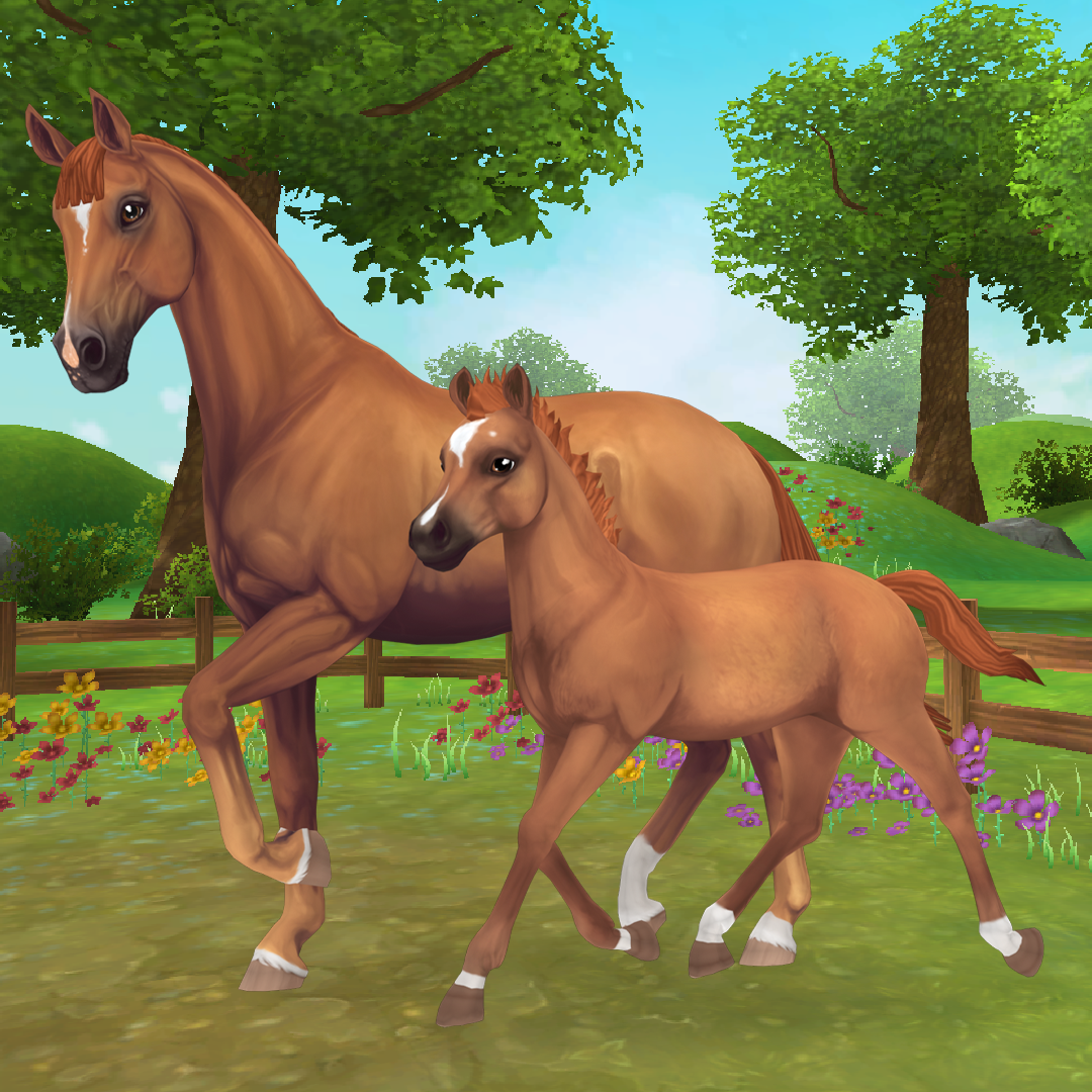 Hey StarFam! Nesta semana, - Star Stable Online Brasil