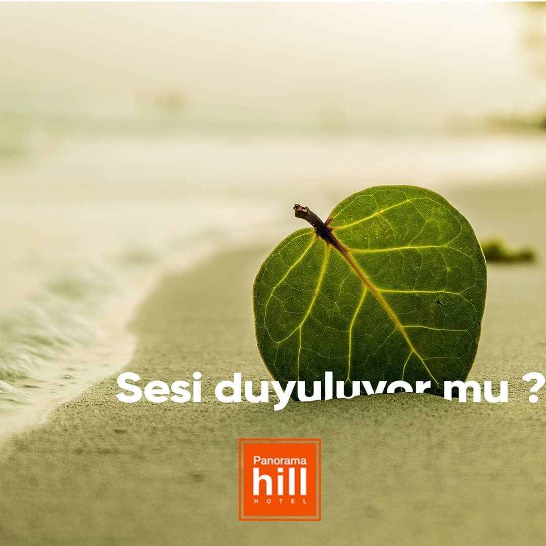 Dalgaların sahile boydan boya vurup usulca geri çekilmesi, bu tatilin sesi olsa gerek.
Biraz özleminizi arttırmakta sakınca görmedik, en yakın zamanda kavuşmak dileğiyle. Sesi duyuluyor mu?
#ThePanoramaHill
#kuşadası