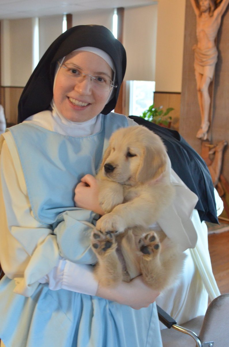 FrMatthewLC's tweet photo. Yesterday, @TheHappyPriest blessed your timeline with nuns holding kittens. Today, I offer something better: a nun holding a puppy. #TeamDoggo #TeamPupper https://t.co/NFEhfVJ9nP