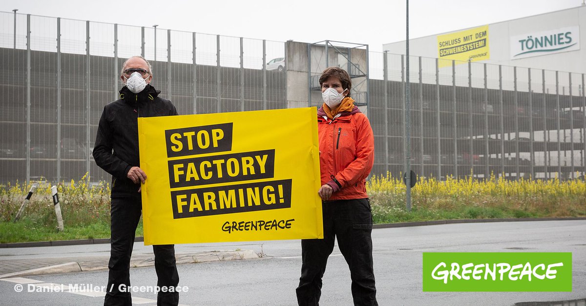 greenpeace_de's tweet photo. Stop the sick system of #cheapmeat! What we need now:
👛 an animal welfare fee
🐷 less animals in better husbandry
🤝 fair payment instead of price dumping.
@JuliaKloeckner, that's your job! #Toennies #lessmeatlessheat https://t.co/sh1U6Dsm7V