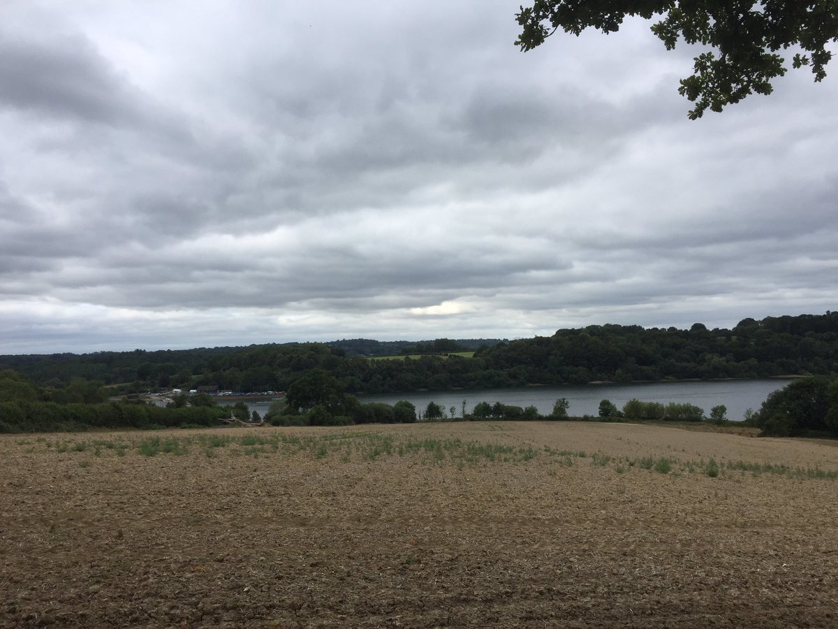 ArdinglyRocks's tweet photo. Thereโre now a few #ardinglyrocks waiting to be found around @ArdinglyPS, #ardinglyreservoir and #ardingly ๐ #staysafe #washhands #ardinglywalks https://t.co/uhwQD7AdmG