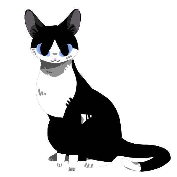 ハチワレのtwitterイラスト検索結果 古い順