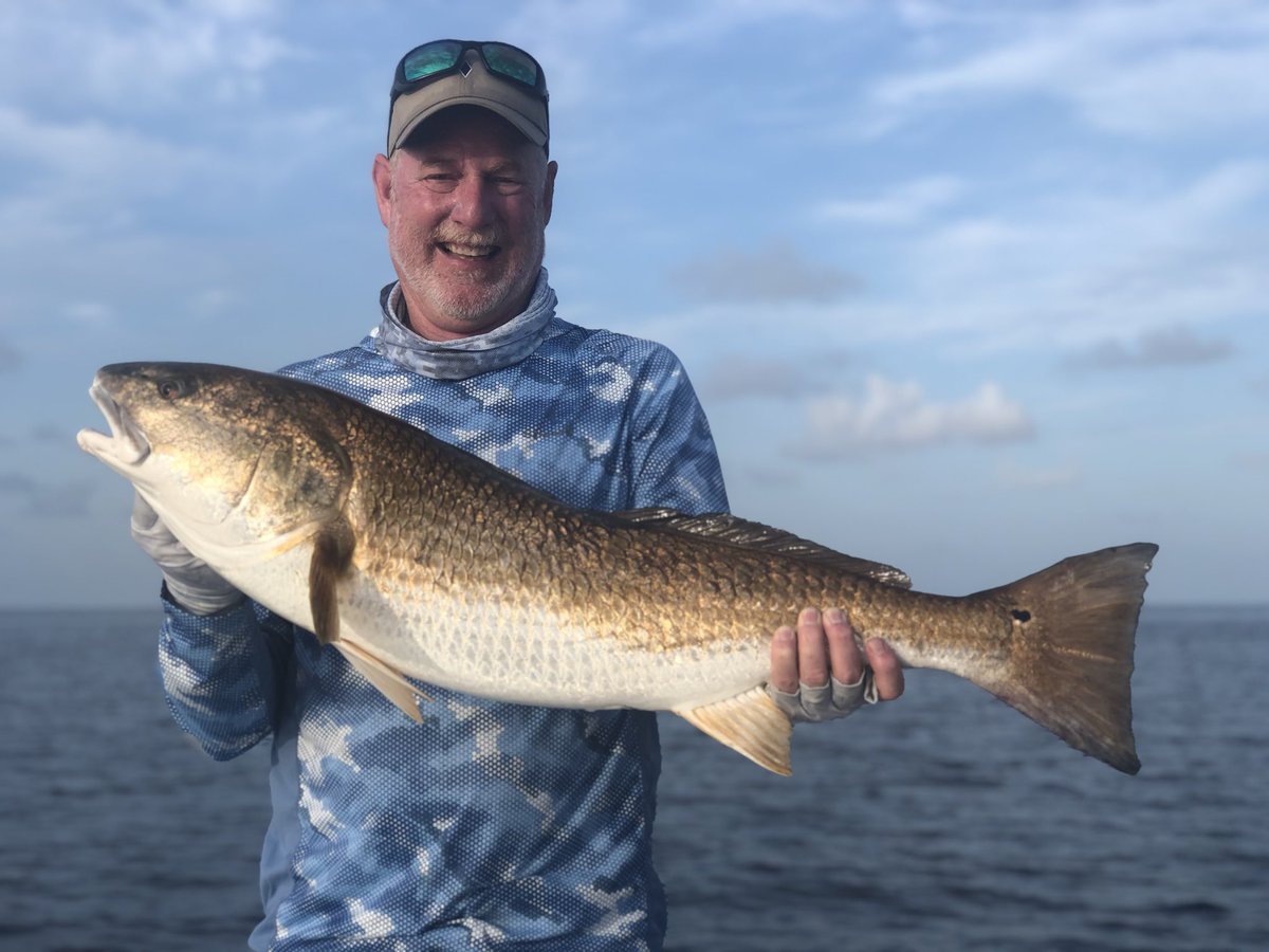 Here’s one of many big uns from yesterday morning.