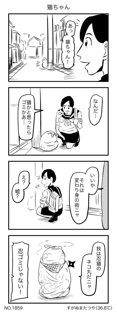 猫ちゃん 