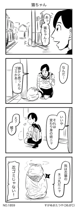 猫ちゃん 