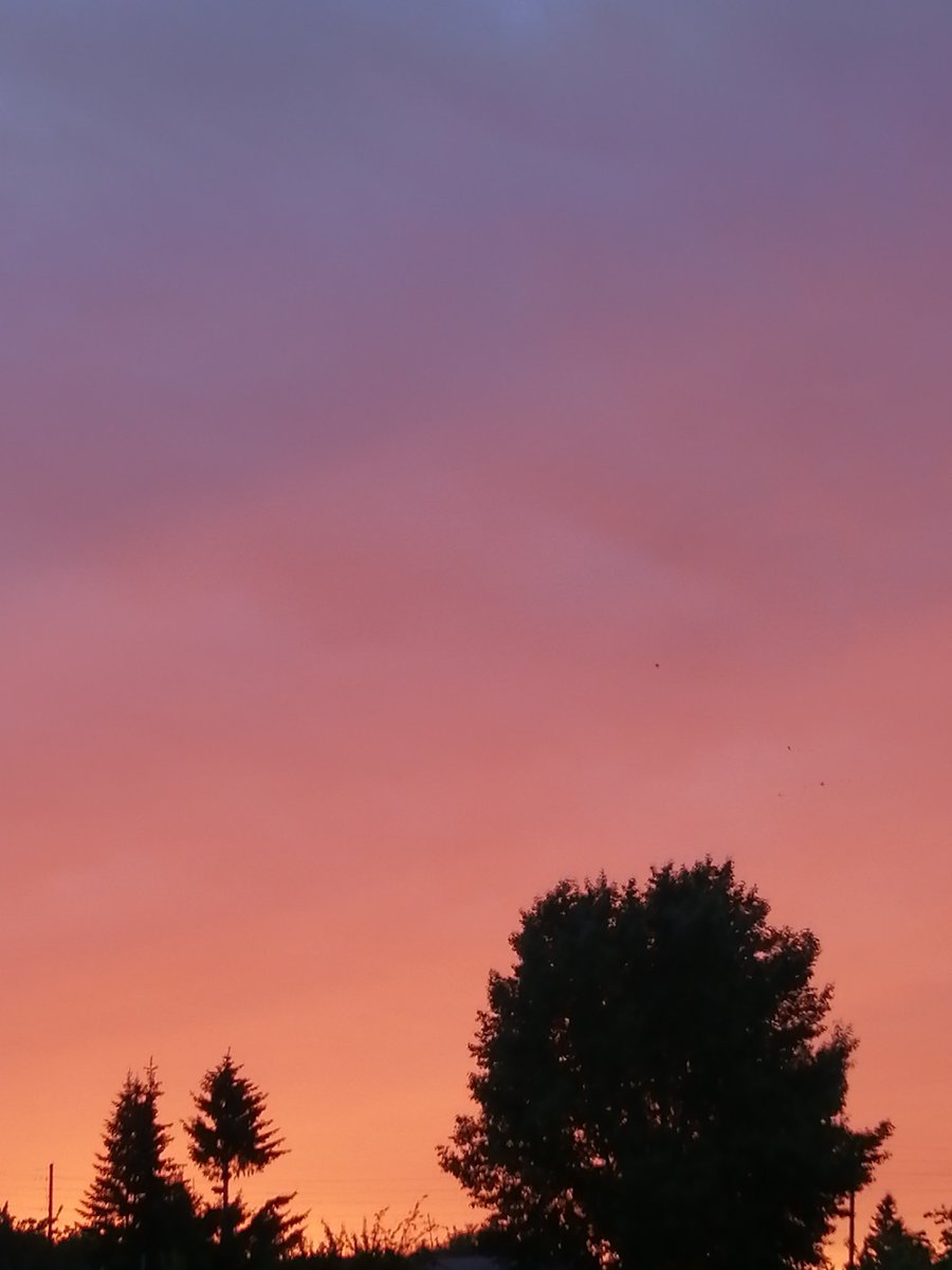 Ass_Hoseoka's tweet photo. я буду с тобой, даже если небо упадёт на землю.

#SkyForNamjoon https://t.co/AXpFCtGDCC