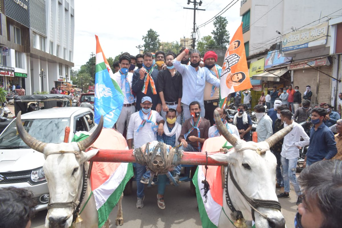 मध्यप्रदेश एनएसयूआई के तत्वाधान में डीजल पेट्रोल के बढ़ते दामों के खिलाफ जबलपुर में सांसद राकेश सिंह के निवास तक बैलगाड़ी यात्रा निकाली गई और घेराव कर राष्ट्रपति के नाम एसडीएम को ज्ञापन सौंपा गया एवं गिरफ्तारी दी गई <a href="/RahulGandhi/">Rahul Gandhi</a> <a href="/nsui/">NSUI</a> <a href="/VipinWankhede_/">Vipin Wankhede</a> <a href="/NSUIMP/">NSUI Madhya Pradesh</a> <a href="/narendramodi/">Narendra Modi</a>