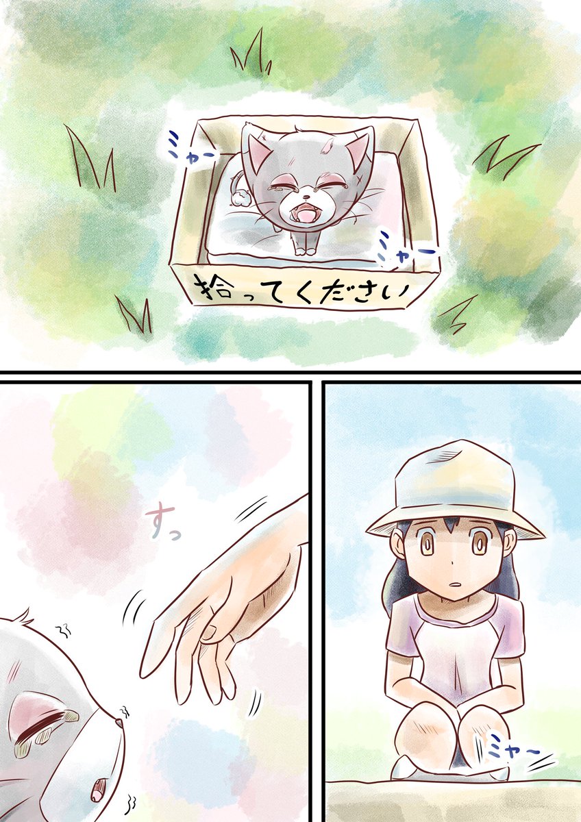 捨てられたポケモンを拾った。
#ポケモン #ポケモンと生活 #漫画 