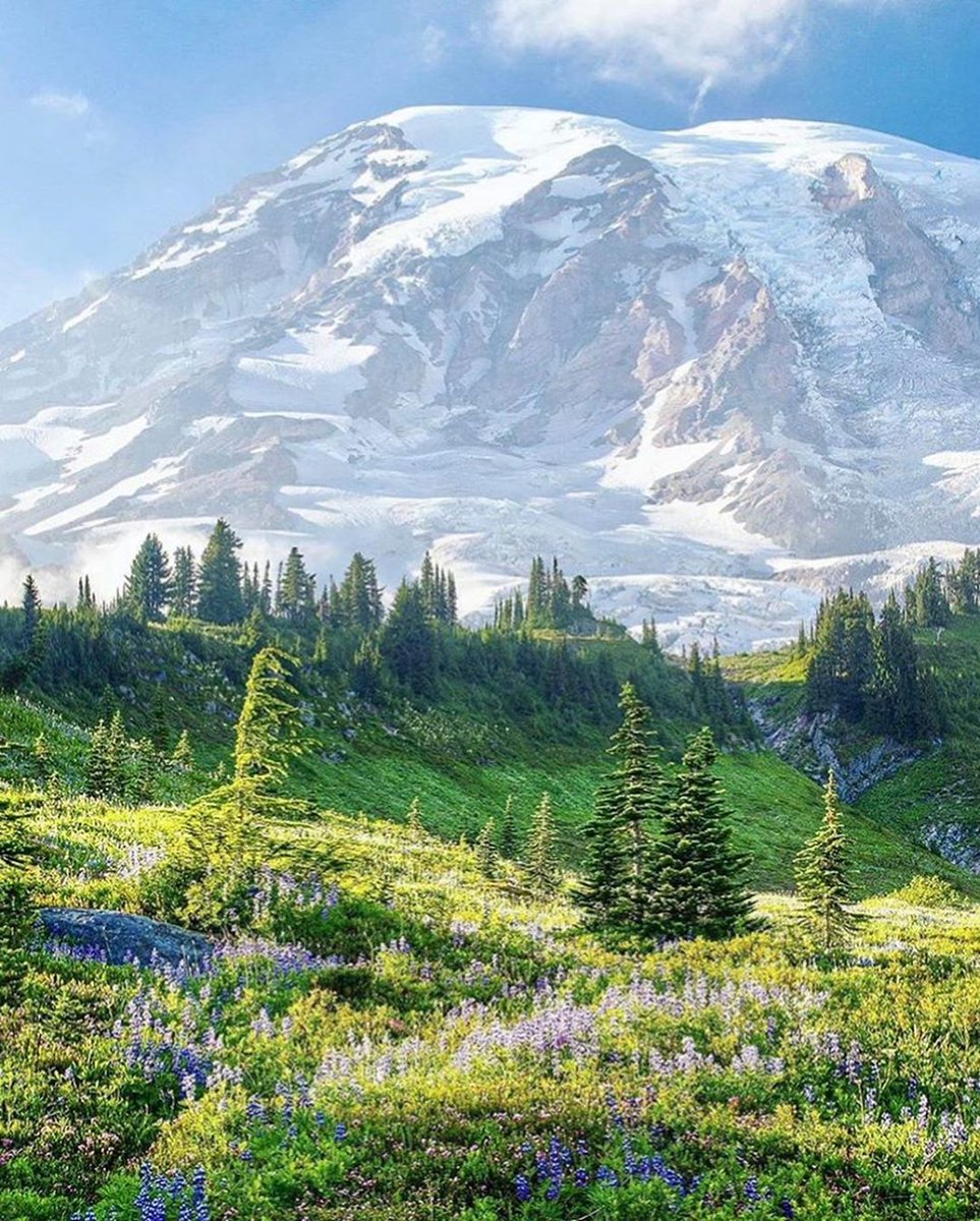 squareofin's tweet photo. Tag Mountain Guys. 😍😍
Follow Us For More.

📷 @outofthewoods 
📍Washington

#hikinglifestyle #washigton #hiking_daily #moodylover #hikinggram #mountaingram #mountainscenery #hikingeveryday #mountainstones #moodyphotography #traveltheworld #mountain_world #hiking🌲 #hikingtime https://t.co/FJC46W2KXI