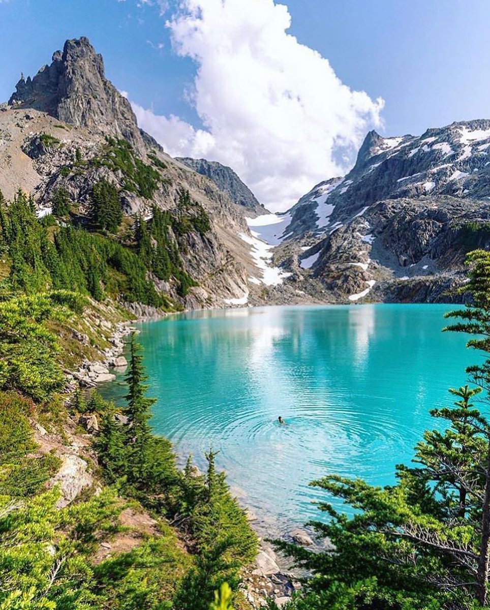 squareofin's tweet photo. Tag Mountain Guys. 😍😍
Follow Us For More.

📷 @outofthewoods 
📍Washington

#hikinglifestyle #washigton #hiking_daily #moodylover #hikinggram #mountaingram #mountainscenery #hikingeveryday #mountainstones #moodyphotography #traveltheworld #mountain_world #hiking🌲 #hikingtime https://t.co/FJC46W2KXI