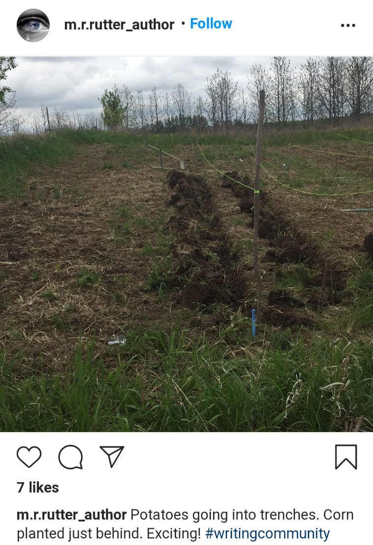 SureThingOscar's tweet photo. #WritingCommunity #MSWL #amquerying Not to be unkind, but "Author Farmer" M R Rutter brings it on. 20K follower bots/never like, reply. Paid Solstice to publish cliche-riddled "Dangerous Ground." &amp; her half-assed farm is sad joke: Bony horses, barren land. Can't grow a 🍅! https://t.co/WQokmMwfOJ