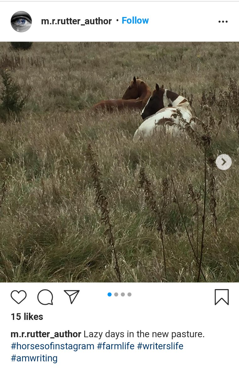 SureThingOscar's tweet photo. #WritingCommunity #MSWL #amquerying Not to be unkind, but "Author Farmer" M R Rutter brings it on. 20K follower bots/never like, reply. Paid Solstice to publish cliche-riddled "Dangerous Ground." &amp; her half-assed farm is sad joke: Bony horses, barren land. Can't grow a 🍅! https://t.co/WQokmMwfOJ