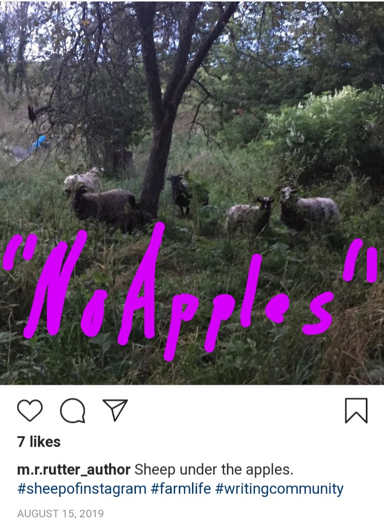SureThingOscar's tweet photo. #WritingCommunity #MSWL #amquerying Not to be unkind, but "Author Farmer" M R Rutter brings it on. 20K follower bots/never like, reply. Paid Solstice to publish cliche-riddled "Dangerous Ground." &amp; her half-assed farm is sad joke: Bony horses, barren land. Can't grow a 🍅! https://t.co/WQokmMwfOJ