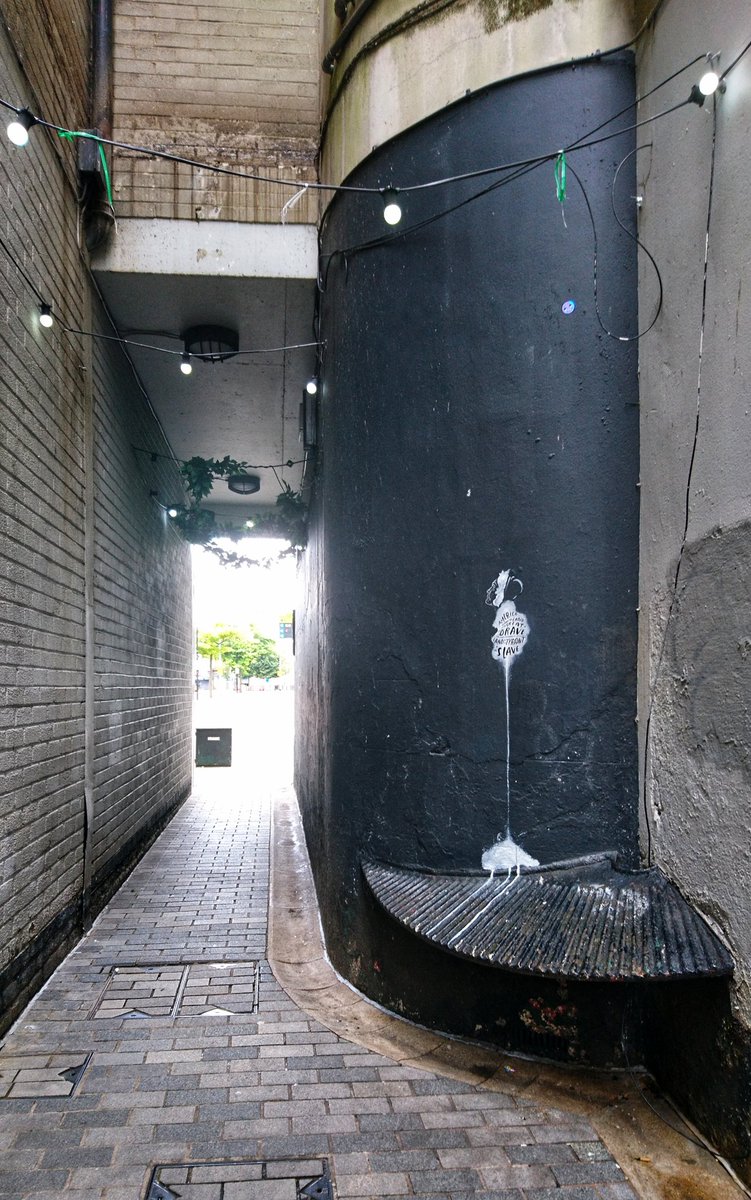 bohoman's tweet photo. #BelfastEntriesProject - #MaryAnnMcCracken - social reformer.

#JoysEntry, #Belfast. 

Thursday 16th July 2020.

#StreetArt #StreetArtIreland

https://t.co/DYqj6Qj1mT

@DaisyChainInc https://t.co/jqm2q7cL5c