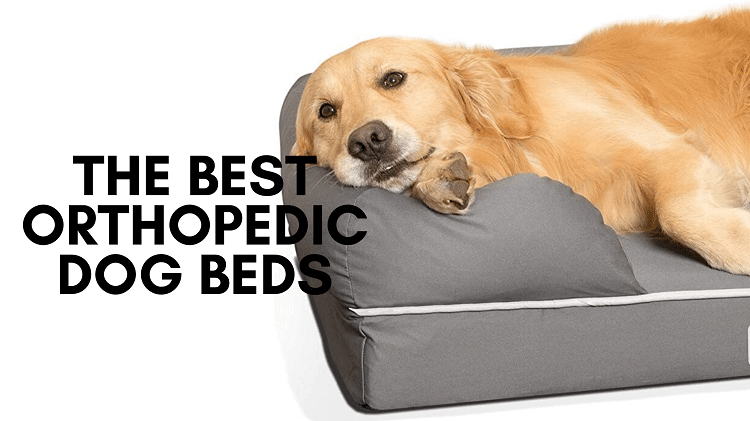JugDogCo's tweet photo. Orthopedic dog beds are primarily designed to help elderly dogs or dogs with mobility issues to have a bed which is comfortable enough to ease discomfort and pains they may have to help give them a good night’s sleep and a comfortable rest. https://t.co/9RBK6DUyOn https://t.co/Tc2wTx7UR4