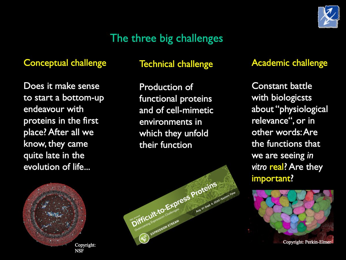 SynCellEU's tweet image. Ironically, the closer we get to building a living cell, the less we are able to understand it. Researchers worldwide discussed the promises of bottom-up #synbio during a @lorentzcenter virtual workshop: syntheticcell.eu/2020/07/16/cha… #syntheticcell