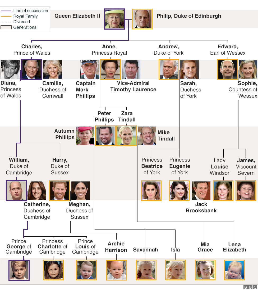 here's a picture of the royal family tree. the royal family has been ruling for 37 generations and 1209 years. they're all descendants of king alfred the great.