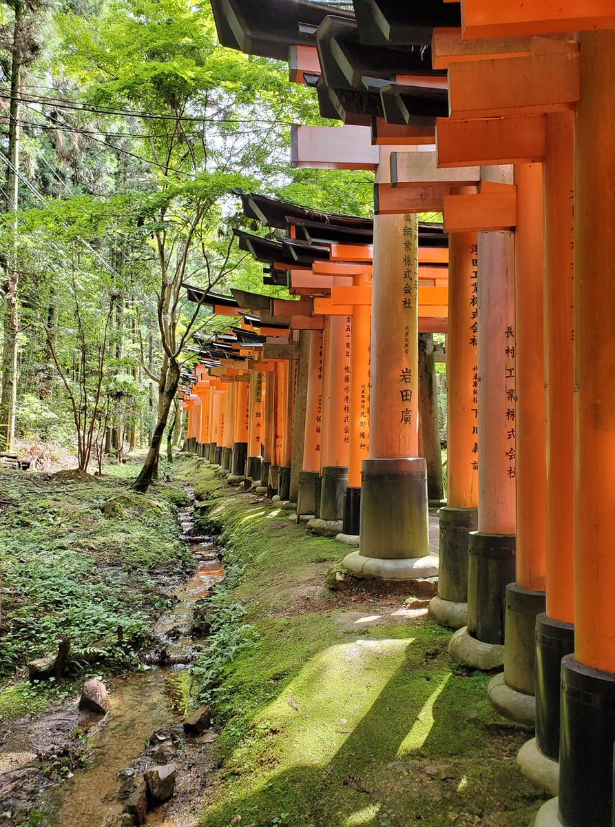 FoodToursJapan's tweet photo. Fushimi Inari Taisha - Kyoto ⛩

The real magic of this place is at the top of the mountain. 🎎⛰🙏

#fushimiinaritaisha #fushimiinarishrine #fushimiinari #伏見稲荷大社 #foodtoursjapan #foodies #japan #京都 #kyoto #toriigates #torii #鳥居 #ftj https://t.co/saCgXmIbe1