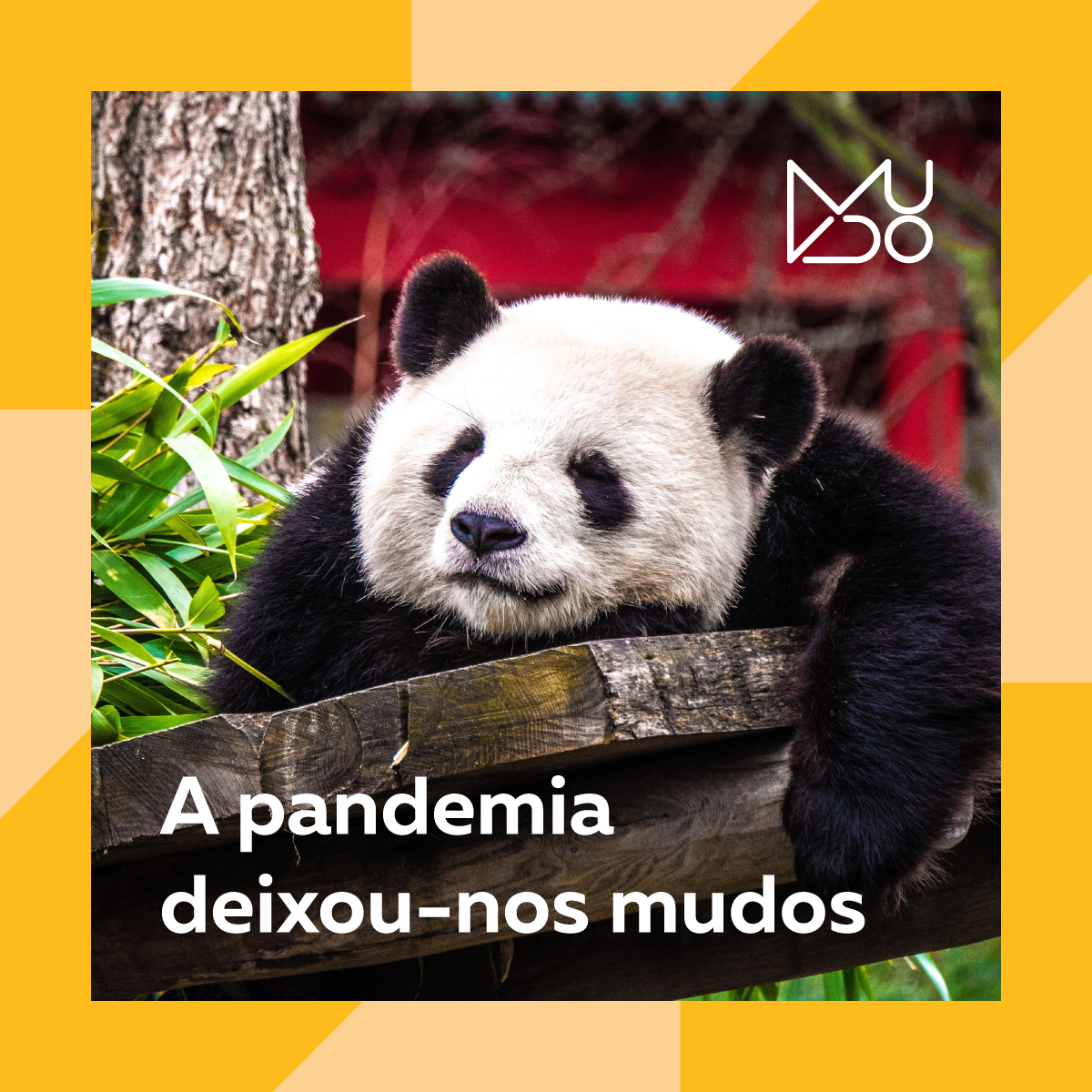 mudopodcast's tweet photo. O Coronavírus trocou as voltas a toda a gente e nós não fomos exceção. Após uma pausa para reflexão, já estamos a preparar terreno para novas conversas. Ficaram curiosos? Fiquem atentos 😉

Estás mudo ou mudas?
#mudopodcast #pandemia https://t.co/CCmaDblNVM