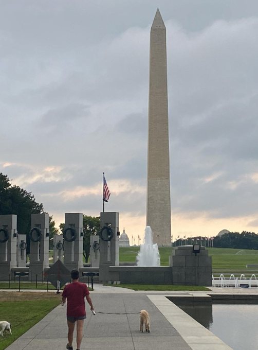maddogrow's tweet photo. Great 5k walk this morning on the National Mall for the @esri #EsriUC2020 Fun Run/Walk with @ktmadigan https://t.co/3L1rgUQlq1