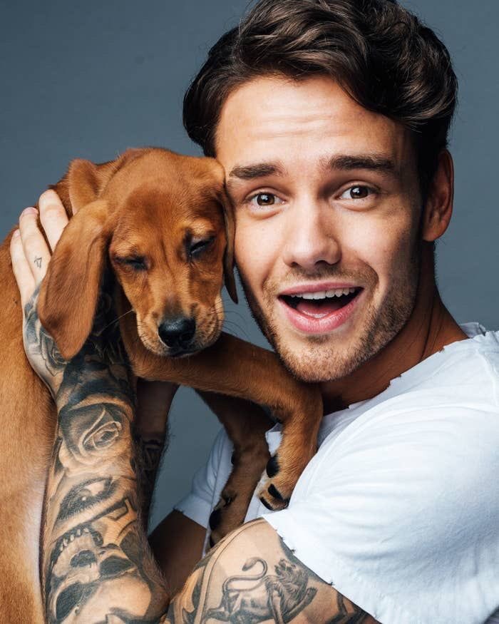 Liam Payne with dogs; a very necessary thread