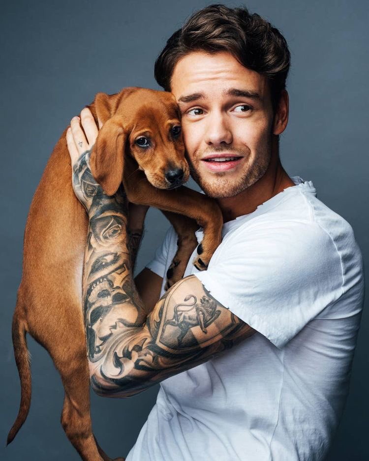 Liam Payne with dogs; a very necessary thread