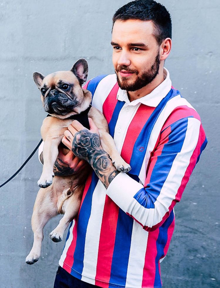 Liam Payne with dogs; a very necessary thread