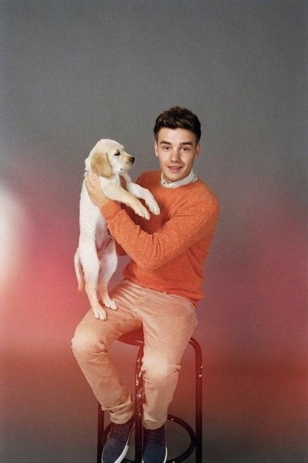 Liam Payne with dogs; a very necessary thread