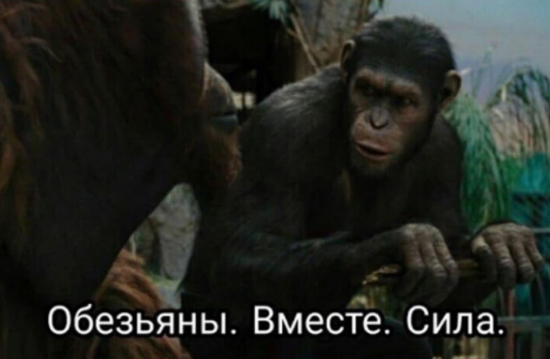 itsonlymypace's tweet photo. иду сдавать ЕГЭ по биологии двадцатого, зная, что: 
#егэ2020 https://t.co/dpbzQsJDwe