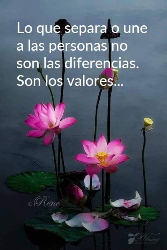 Nada que añadir.........