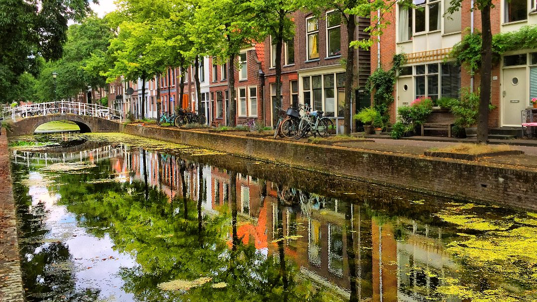 Alex_Verbeek's tweet photo. 📸 

Retweet if you would like to walk along the canals of Delft now. 😊 https://t.co/KIT3vhKPvk