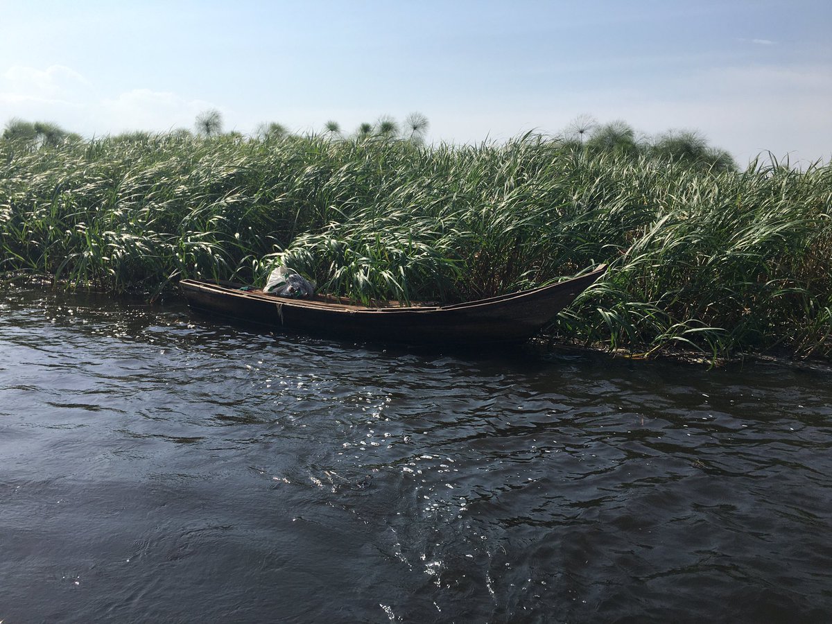 mikeinuganda's tweet photo. Having visited Murchison Falls National Park over the last few days I truly feel it is a matter of National Importance to visit the Parks in #uganda for ALL of us! UWA needs our support and we ALL need to get out there and look after our National Parks! https://t.co/UMnEouccxU