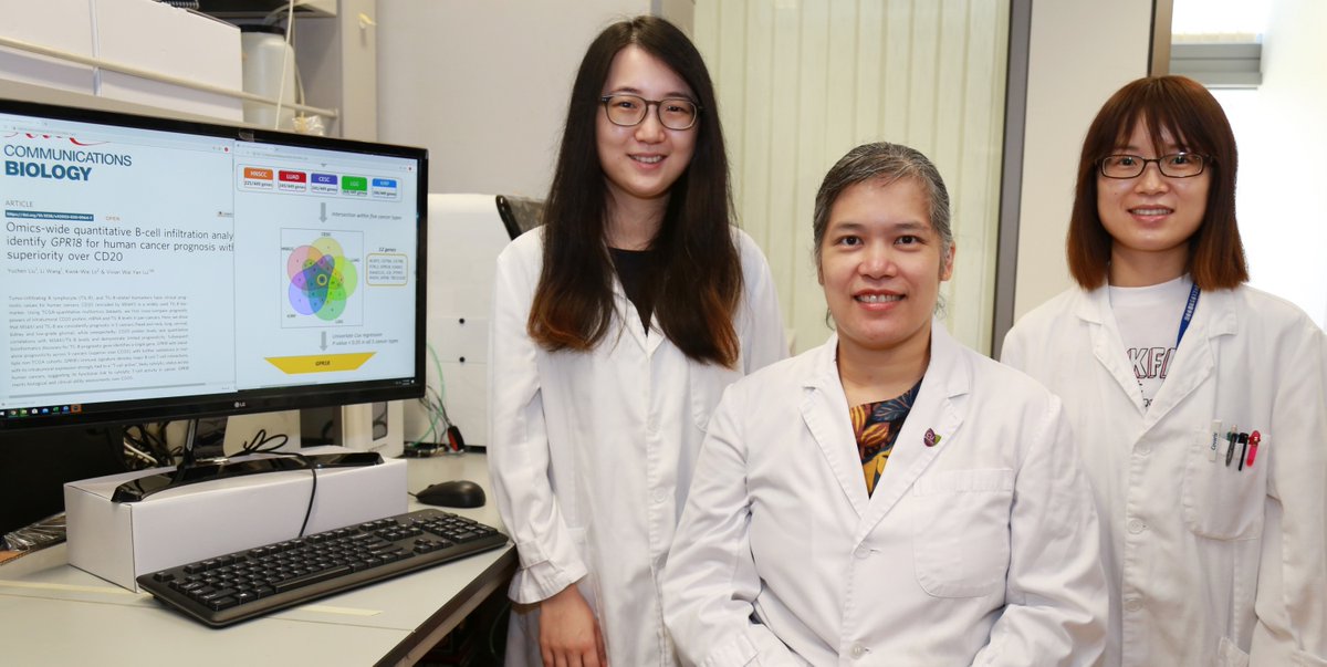 CUHKofficial's tweet photo. A study conducted by @CUHKMedicine has identified a #gene called #GPR18 which can be a #biomarker to help form the #prognosis for a patient in 9 #cancer types. The team also provided new insights into #Bcells for a cancer patient’s prognosis. @CommsBio https://t.co/uZMUT681Vd https://t.co/Nxauyw0YMM
