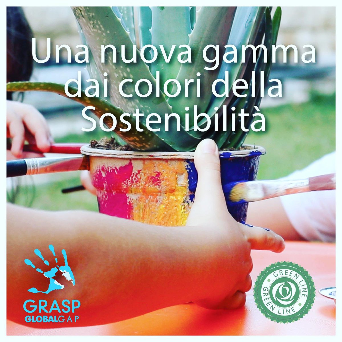 Eurosa (@eurosa_plant) on Twitter photo 