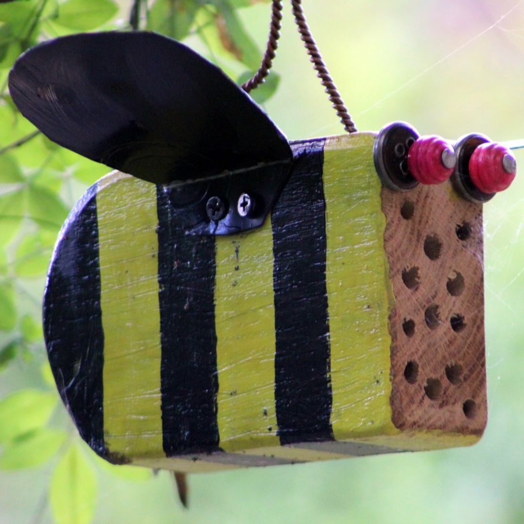 seed_ball's tweet photo. Bee Help 🐝😍
What are you doing to help bees? A wildflower patch, a bee hotel or a bank of loose soil for mining bees? There are lots of ways we can help in our gardens and spaces.
#BeesNeedsWeek #Bee #MasonBee #LeafcutterBee #MiningBee #Beekeeping #Beekeepers #InsectHotels https://t.co/Hy0C6oBNy2