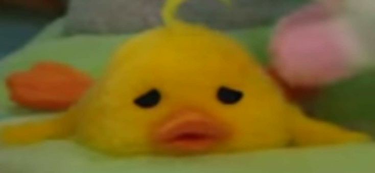 myungjun as mofy duck, a thread: