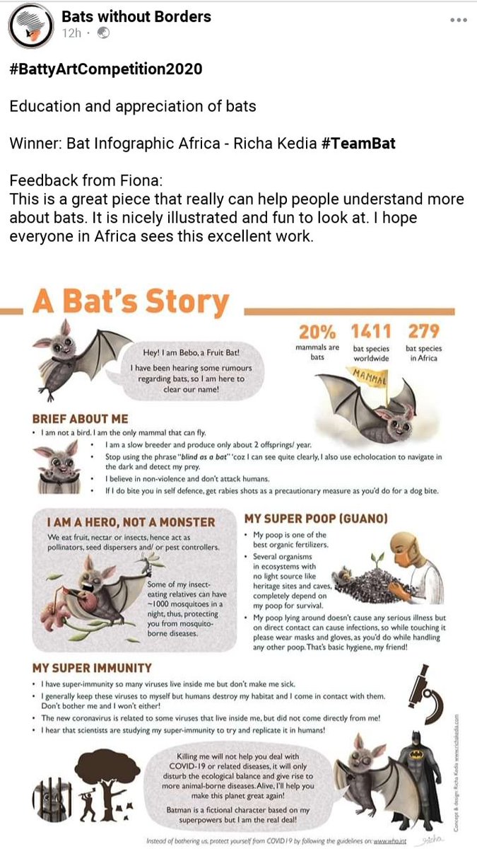 So happy to share that my bat poster won in the #education category of the #BattyArtCompetition2020 organized by  @bats_w_borders 

#batconservation #INFOGRAPHIC #scienceillustration