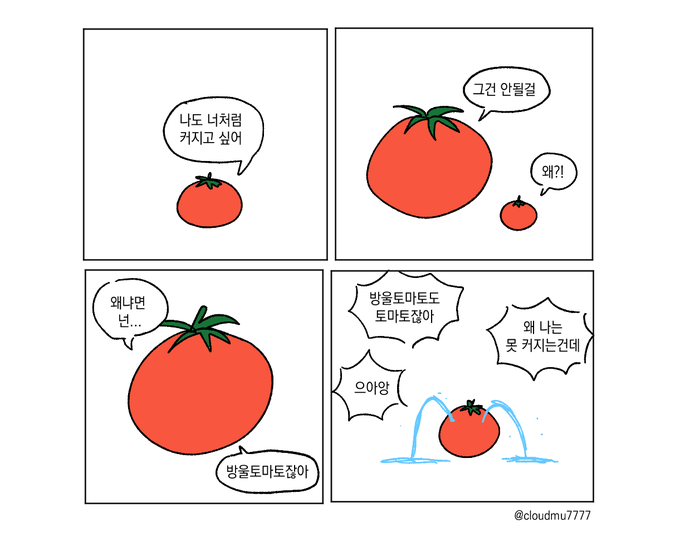 토마토 