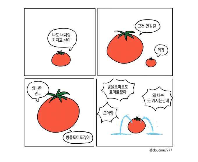토마토 