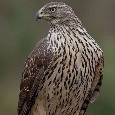 #YeniProfilResmi