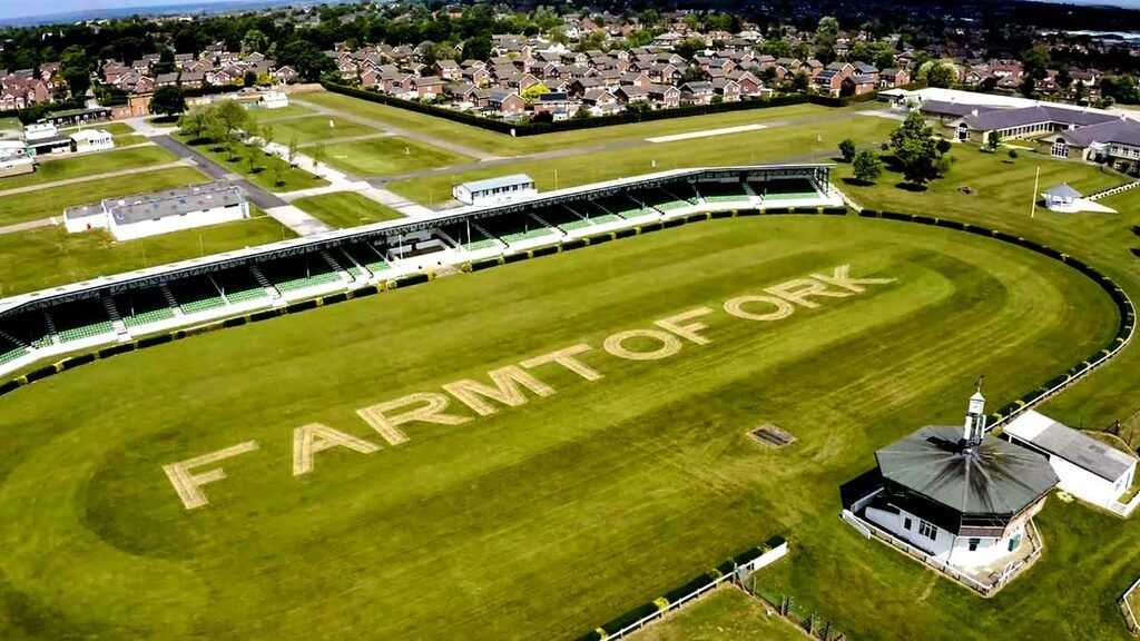 greatyorkshow's tweet photo. 9am - A Celebration of #FarmToFork - Since April, the @YorksAgSoc has highlighted the stories of #Yorkshire #farmers, #food producers and farm retailers via its Farm To Fork campaign. Watch our special message from the Main Ring - https://t.co/EjJvs06igg #VirtualGYS https://t.co/r54IrOUWsa