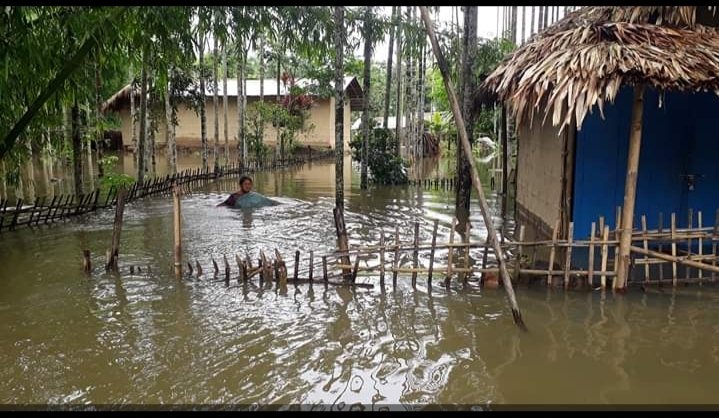 the heavy rains that have caused major floods In the villages of the state which has drowned acres and acres of crop fields, killed people,This is the time assam needs us I'm linking a carrd that contains all the important info regarding Assam's condition, reliable places+