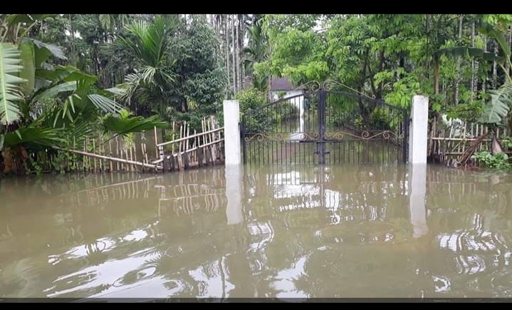 the heavy rains that have caused major floods In the villages of the state which has drowned acres and acres of crop fields, killed people,This is the time assam needs us I'm linking a carrd that contains all the important info regarding Assam's condition, reliable places+