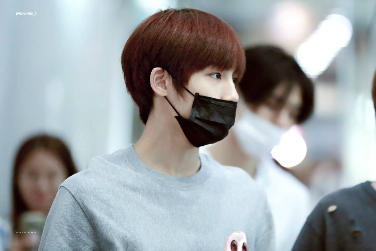 Hourly Winwin☁️ tweet media